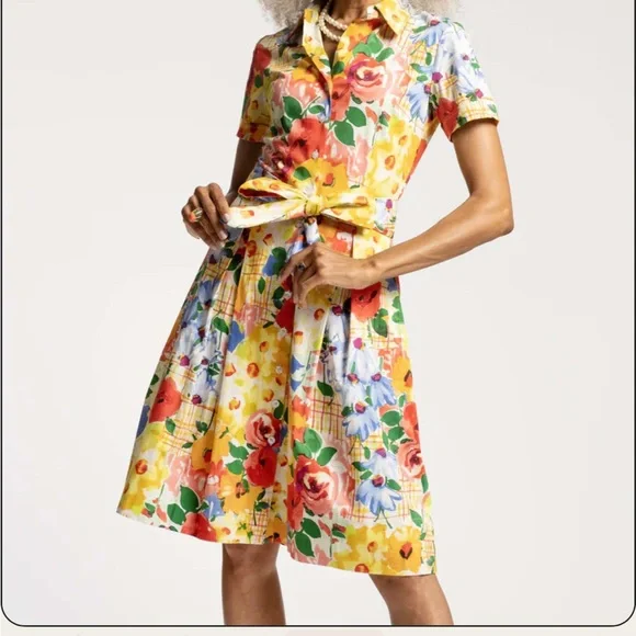 France’s Valentine Bella Picnic Cotton Shirtdress size XS - Picture 1 of 10